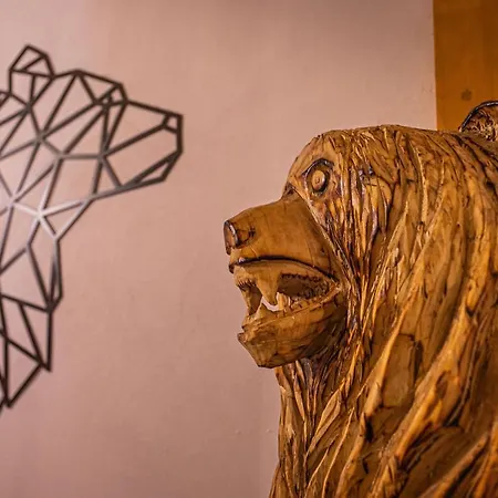 Wellness Drevenica Hájenka Zázrivá