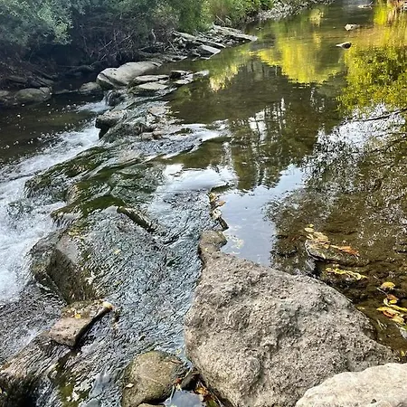 Wellness Drevenica Hajenka ロッジ Zázrivá