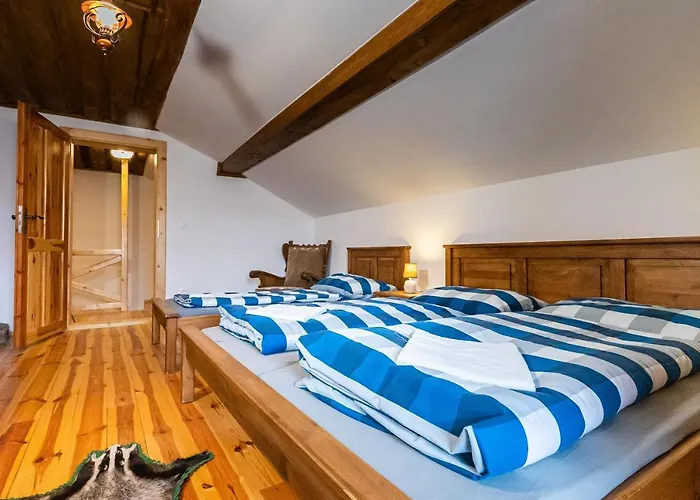 Chata Wellness Drevenica Hajenka