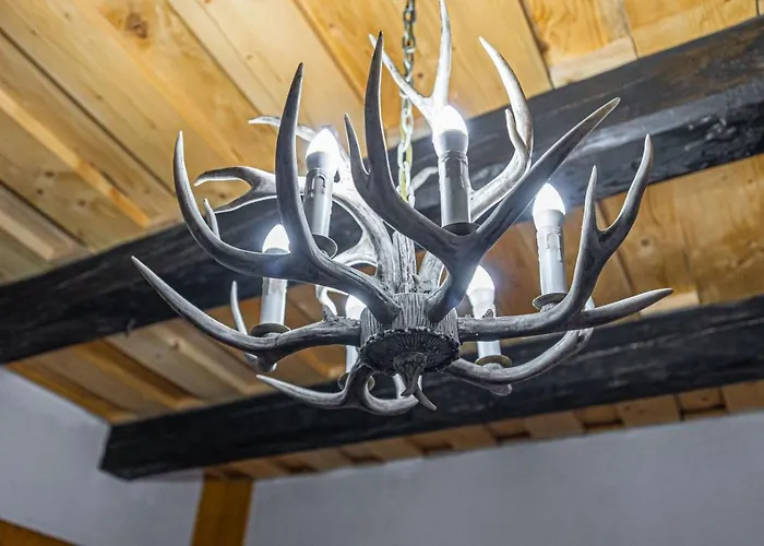 Orman Evi Wellness Drevenica Hajenka *