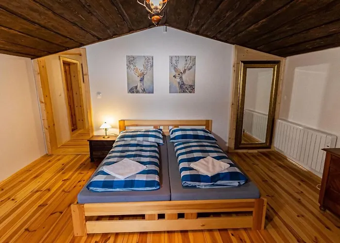 Chata Wellness Drevenica Hajenka
