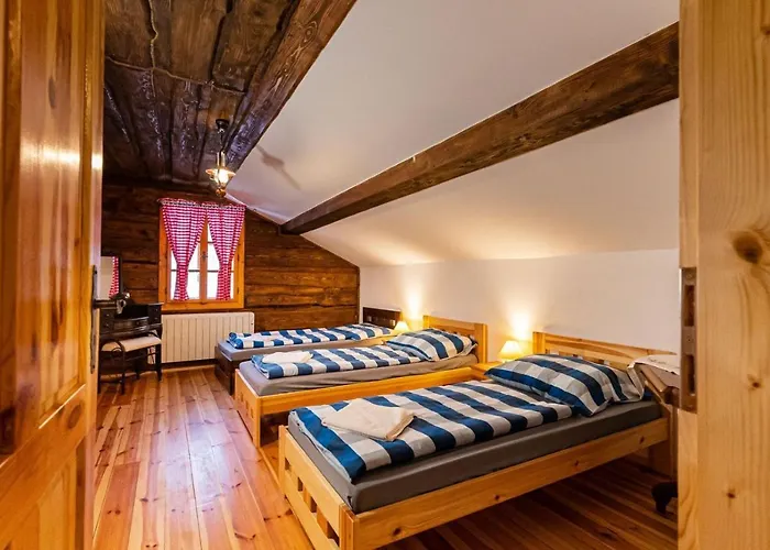 Chata Wellness Drevenica Hajenka *