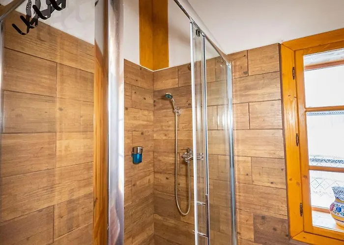 Wellness Drevenica Hajenka * Zázrivá