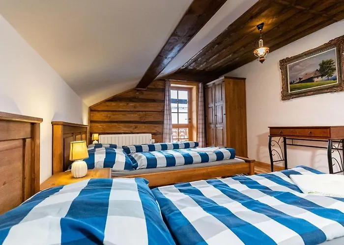 Wellness Drevenica Hajenka