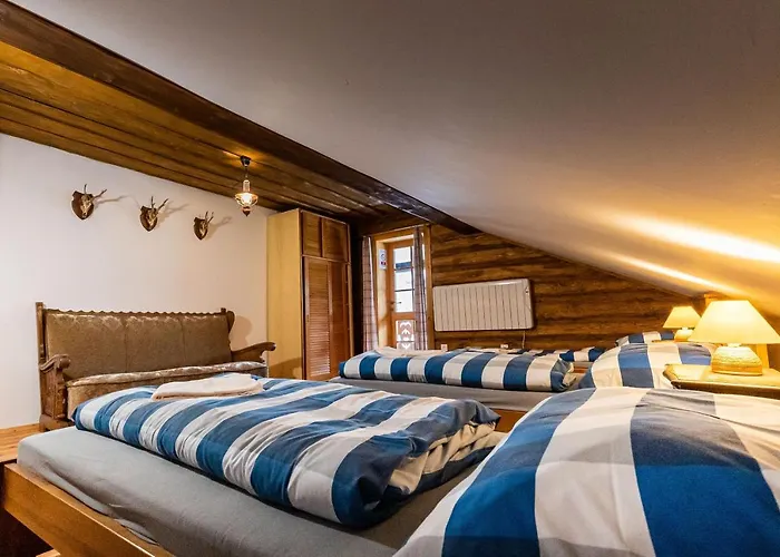 Wellness Drevenica Hajenka