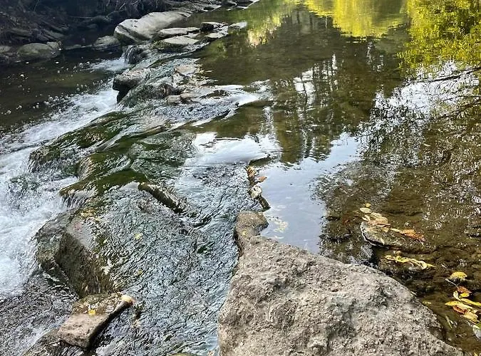 Wellness Drevenica Hajenka Orman Evi Zázrivá